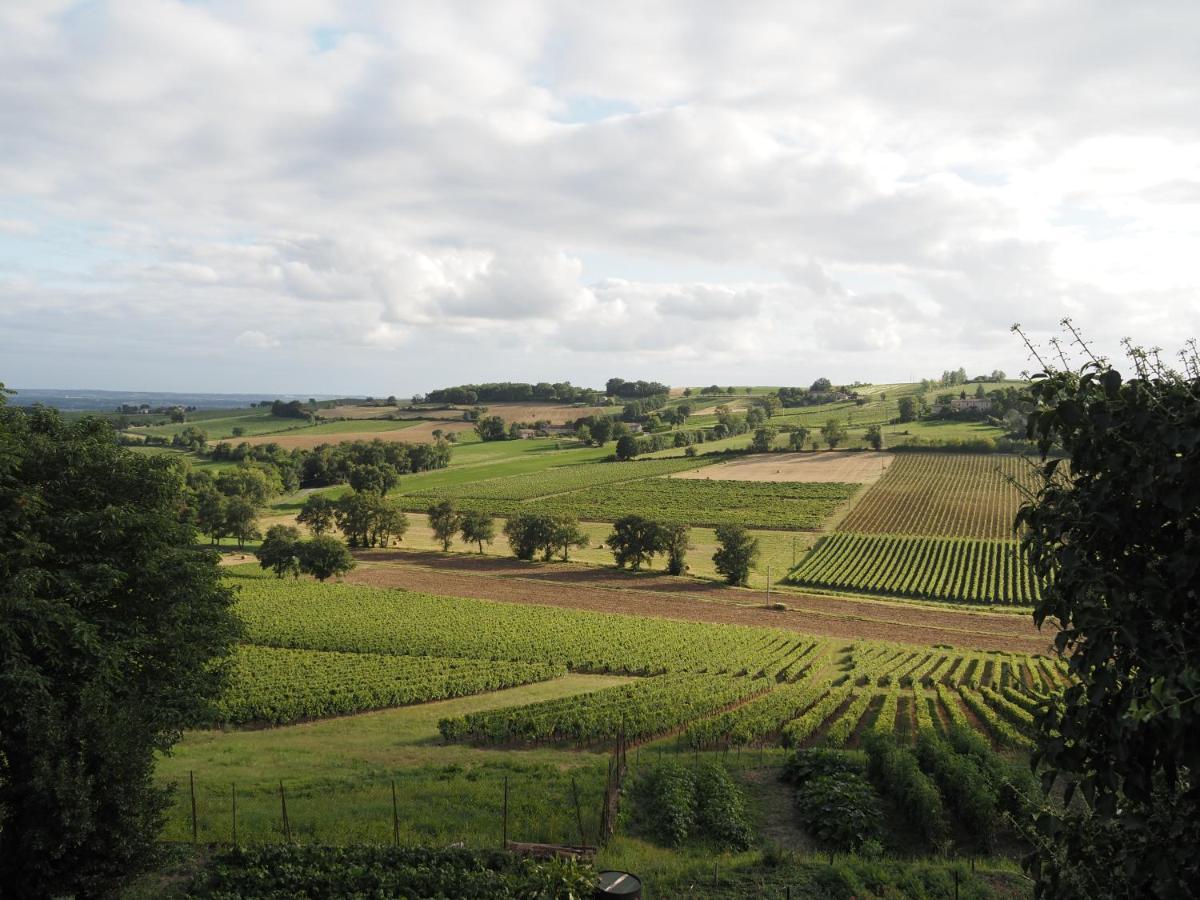 Le Mas De Doat, Gite De Charme 4 Etoiles Dans Le Triangle D Or Proche Gaillac Et Albi Senouillac Экстерьер фото